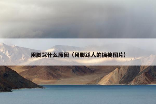 启动