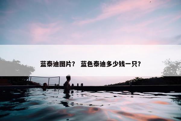 蓝泰迪图片？ 蓝色泰迪多少钱一只？