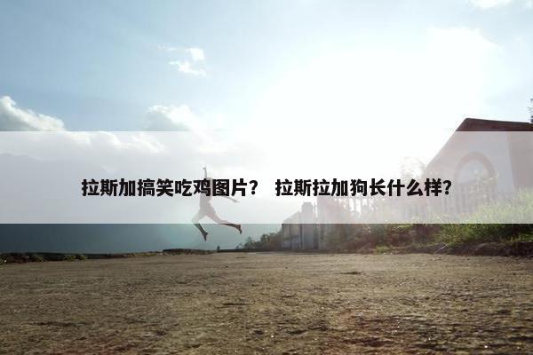 鸡头