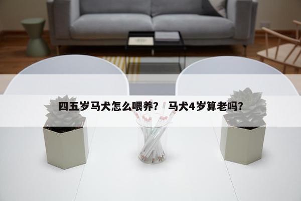 四五岁马犬怎么喂养？ 马犬4岁算老吗？