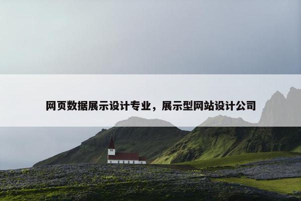 网页数据展示设计专业，展示型网站设计公司