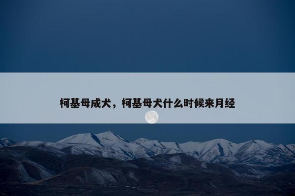 柯基母成犬，柯基母犬什么时候来月经