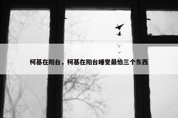 柯基在阳台，柯基在阳台睡觉最怕三个东西
