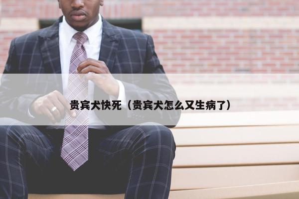 贵宾犬快死（贵宾犬怎么又生病了）