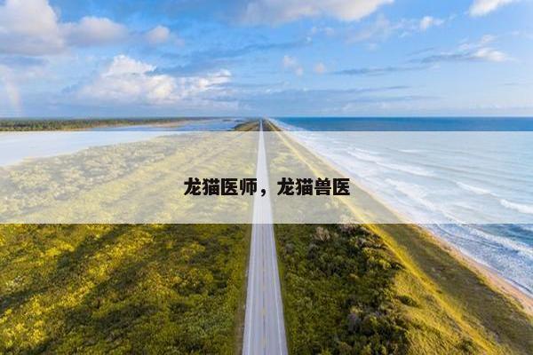 龙猫医师，龙猫兽医