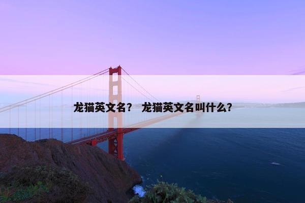 龙猫英文名？ 龙猫英文名叫什么？