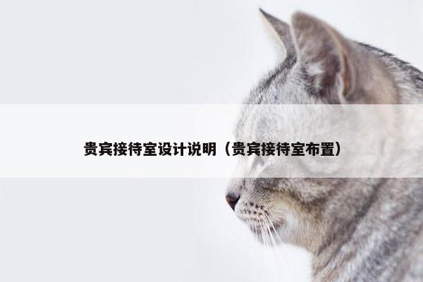 贵宾接待室设计说明（贵宾接待室布置）
