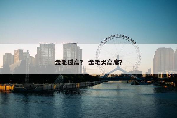 金毛过高？ 金毛犬高度？