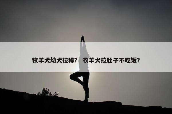 牧羊犬幼犬拉稀？ 牧羊犬拉肚子不吃饭？
