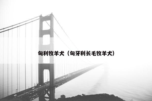 匈利牧羊犬（匈牙利长毛牧羊犬）