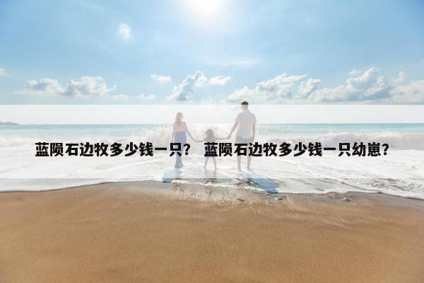 蓝陨石边牧多少钱一只？ 蓝陨石边牧多少钱一只幼崽？