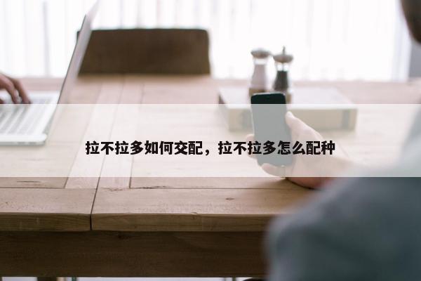 拉不拉多如何交配，拉不拉多怎么配种