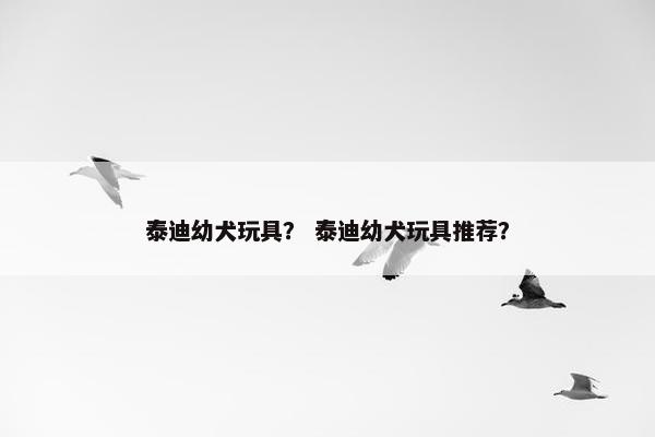 泰迪幼犬玩具？ 泰迪幼犬玩具推荐？
