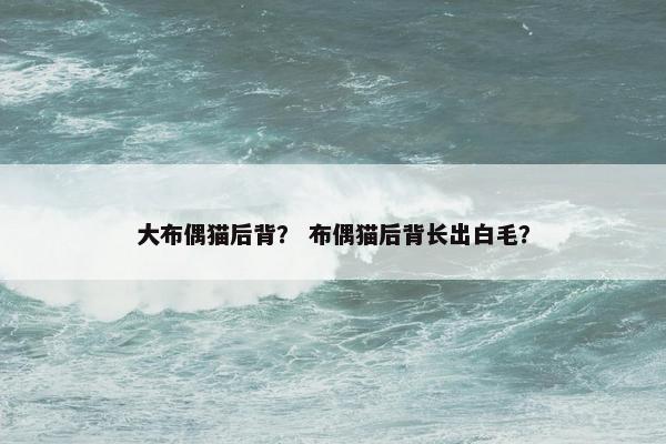 大布偶猫后背？ 布偶猫后背长出白毛？