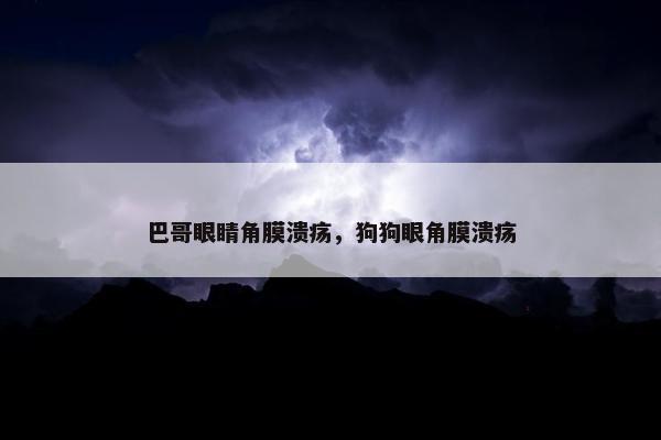 巴哥眼睛角膜溃疡，狗狗眼角膜溃疡