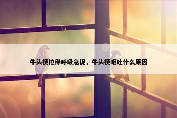 牛头梗拉稀呼吸急促，牛头梗呕吐什么原因