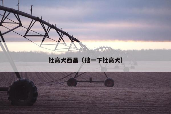 杜高犬西昌（搜一下杜高犬）