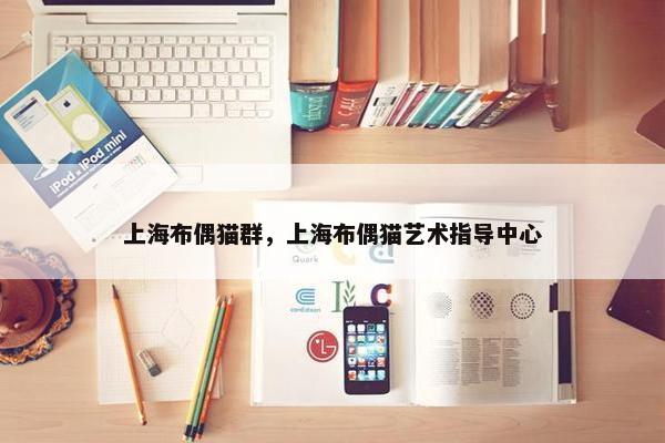 上海布偶猫群，上海布偶猫艺术指导中心