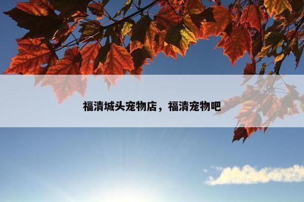 福清城头宠物店，福清宠物吧