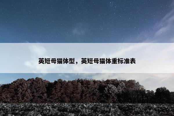 英短母猫体型，英短母猫体重标准表