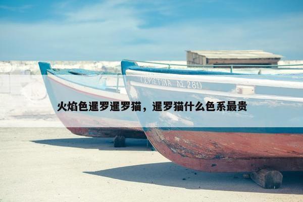 火焰色暹罗暹罗猫，暹罗猫什么色系最贵