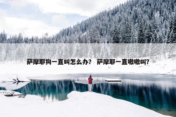 萨摩耶狗一直叫怎么办？ 萨摩耶一直嗷嗷叫？