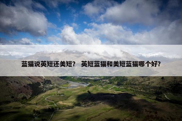 蓝猫说英短还美短？ 英短蓝猫和美短蓝猫哪个好？