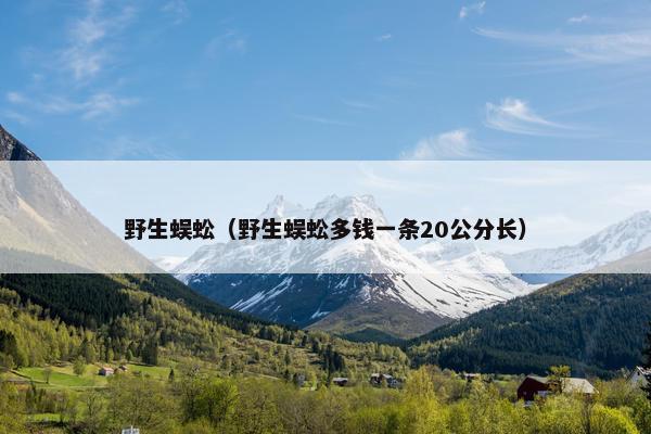 野生蜈蚣（野生蜈蚣多钱一条20公分长）