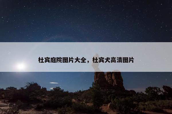 杜宾庭院图片大全，杜宾犬高清图片