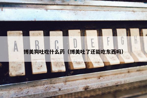 博美狗吐吃什么药（博美吐了还能吃东西吗）