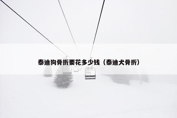 泰迪狗骨折要花多少钱（泰迪犬骨折）
