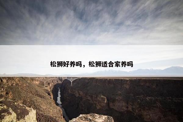 松狮好养吗，松狮适合家养吗