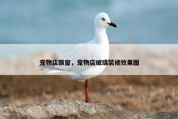 放在