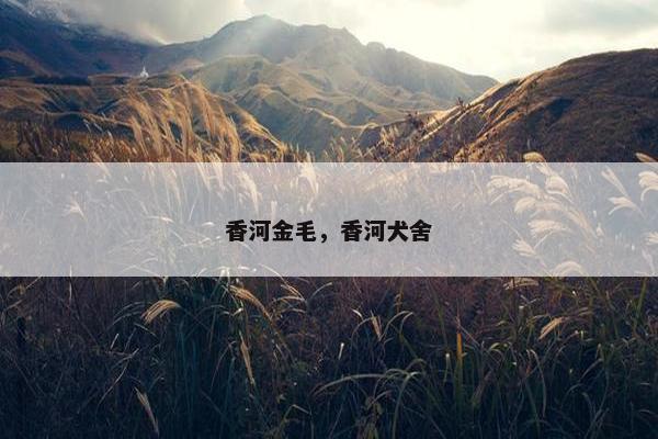 火烧