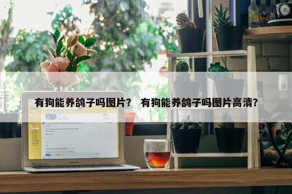 有狗能养鸽子吗图片？ 有狗能养鸽子吗图片高清？