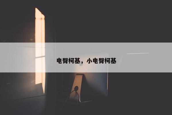 电臀柯基，小电臀柯基