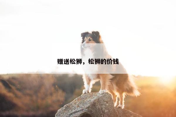 松狮 第31页
