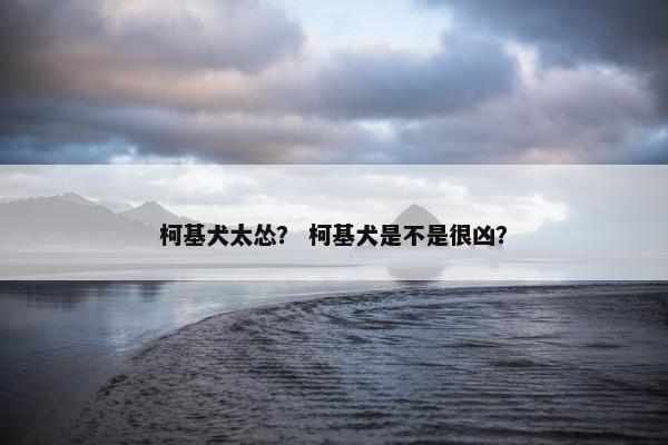 柯基犬太怂？ 柯基犬是不是很凶？