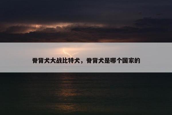脊背犬大战比特犬，脊背犬是哪个国家的