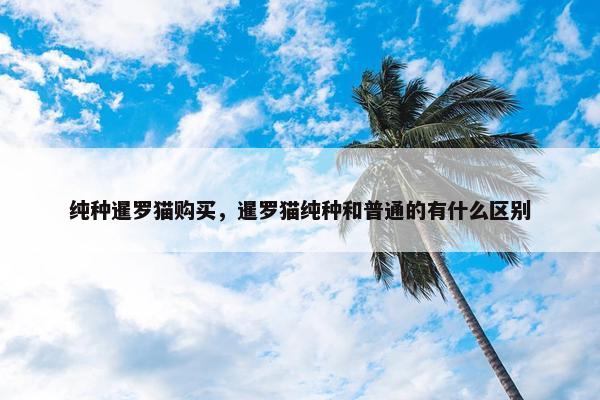 纯种暹罗猫购买，暹罗猫纯种和普通的有什么区别