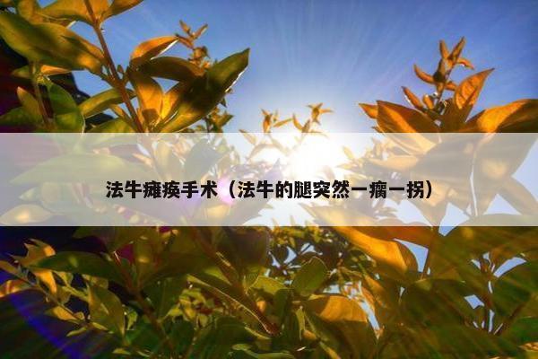 法牛 第23页