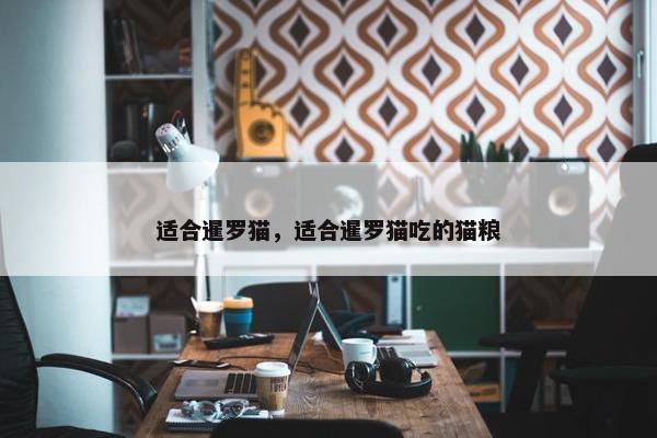 适合暹罗猫，适合暹罗猫吃的猫粮