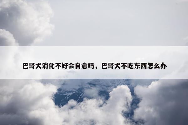 巴哥犬消化不好会自愈吗，巴哥犬不吃东西怎么办
