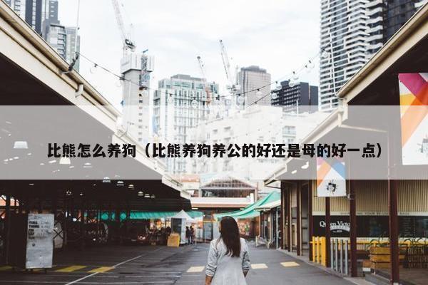 比熊怎么养狗（比熊养狗养公的好还是母的好一点）