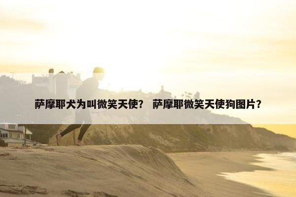 萨摩耶犬为叫微笑天使？ 萨摩耶微笑天使狗图片？