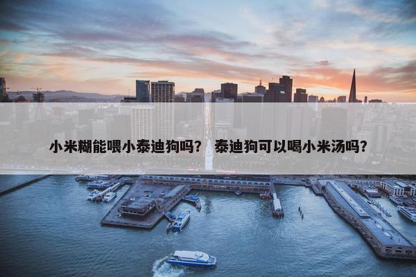 小米糊能喂小泰迪狗吗？ 泰迪狗可以喝小米汤吗？