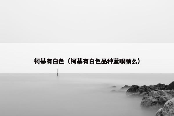 柯基有白色（柯基有白色品种蓝眼睛么）