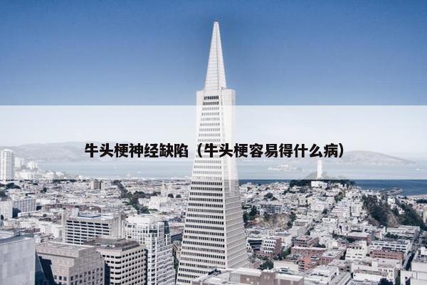 牛头梗 第12页