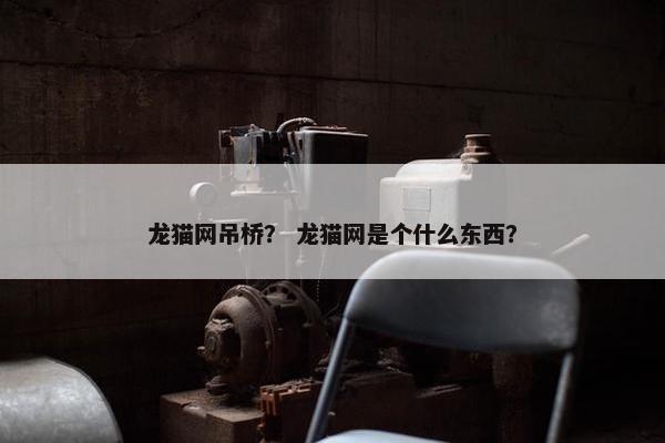 龙猫网吊桥？ 龙猫网是个什么东西？
