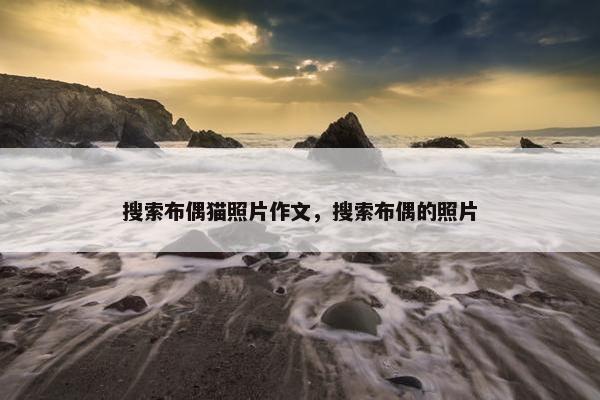 搜索布偶猫照片作文，搜索布偶的照片